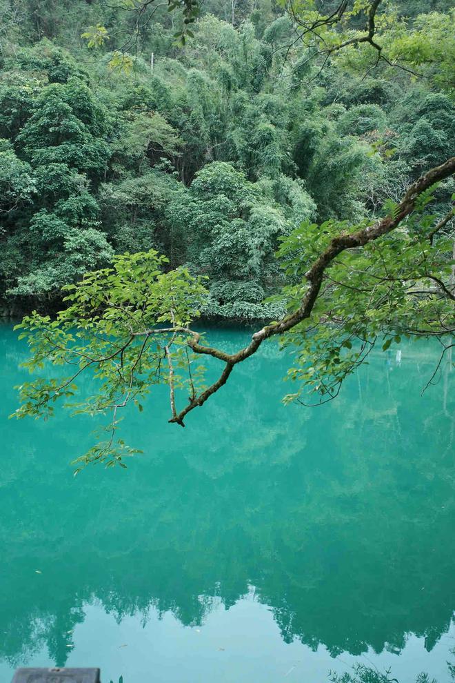 安排贵州五天四晚详细安排不踩雷！冰球突破平台贵州5天4晚旅游路线(图4)