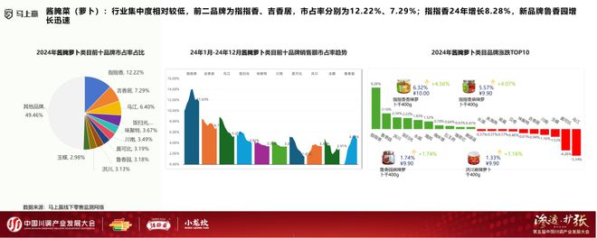 发展大会：调味品竞争态势及发展趋向冰球突破游戏网站分享实录丨川调产业(图3)