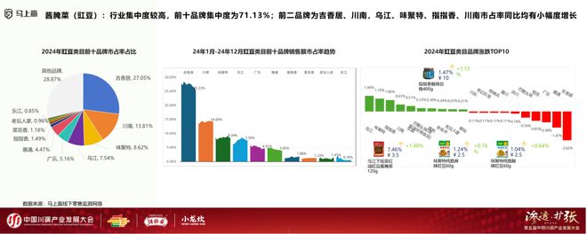 发展大会：调味品竞争态势及发展趋向冰球突破游戏网站分享实录丨川调产业(图7)