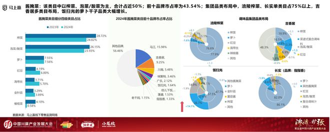 发展大会：调味品竞争态势及发展趋向冰球突破游戏网站分享实录丨川调产业(图21)