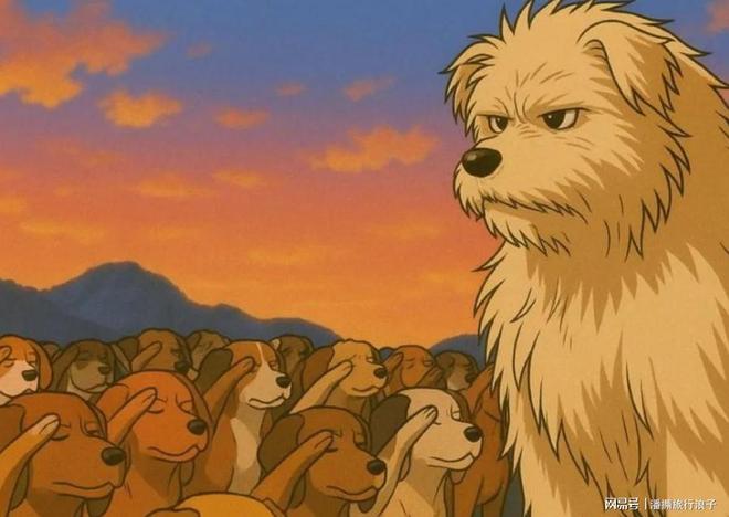 火！身价飙升至10万美元狗主人被扒冰球突破贵州下司犬“查理国王”爆(图11)