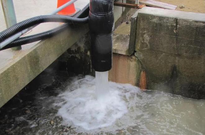 库发现怪鱼三只眼睛还长着“人的牙齿”冰球突破豪华版2016年核电站边的水(图7)