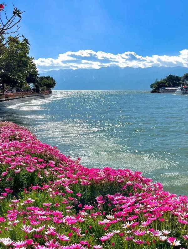 春节云南跟团两日游旅游攻略：人均千元住五星洱海日出邂逅鸥